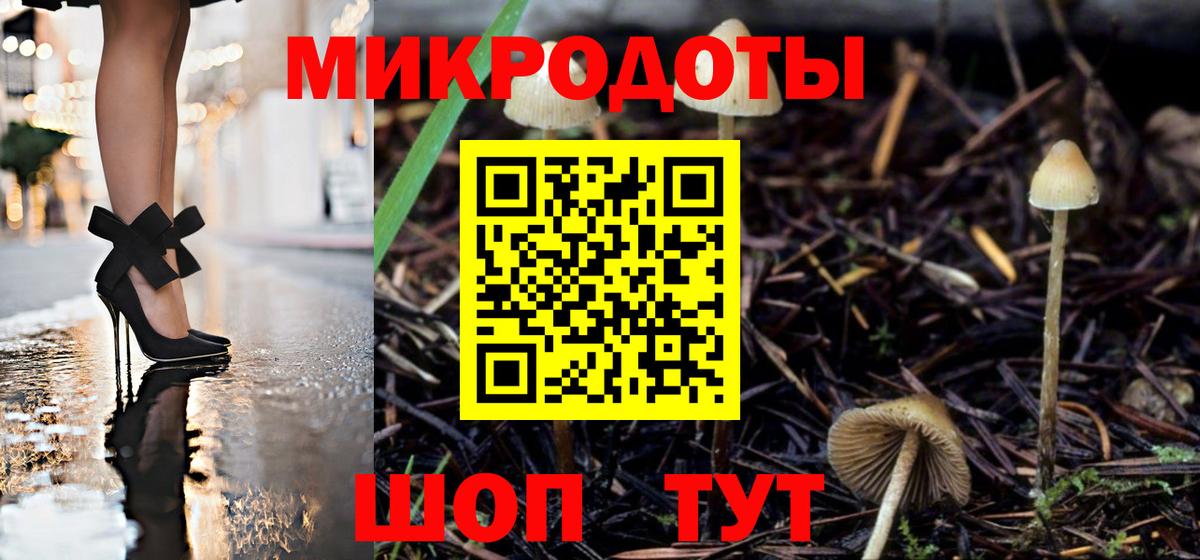 Галлюциногенные грибы MAGIC MUSHROOMS  Вход с VPN  Верхняя Пышма  Псилоцибиновые грибы Psilocybine cubensis 